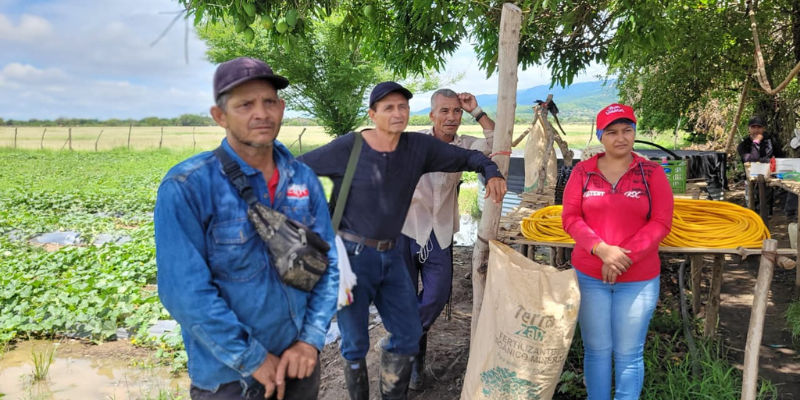 Cundinamarca impulsa el cultivo de melón como alternativa a la deforestación en el municipio de Beltrán