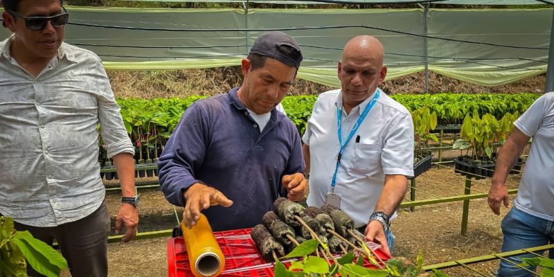 Yacopí inaugura centro de propagación para producir 50 mil plántulas de cacao de alta calidad

