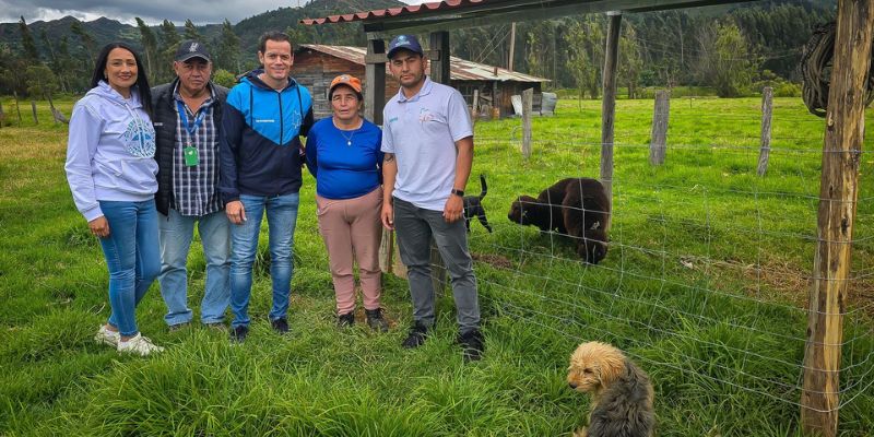 En Cucunubá, la cría de ovejas se convierte en motor de emprendimiento rural