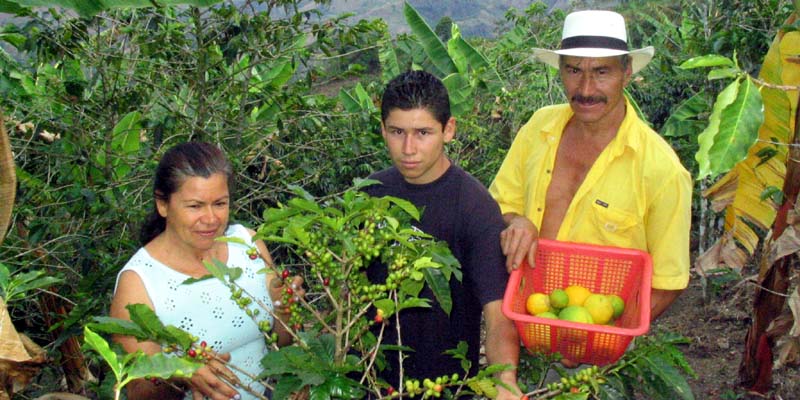 Cundinamarca disminuirá sus accidentes laborales












