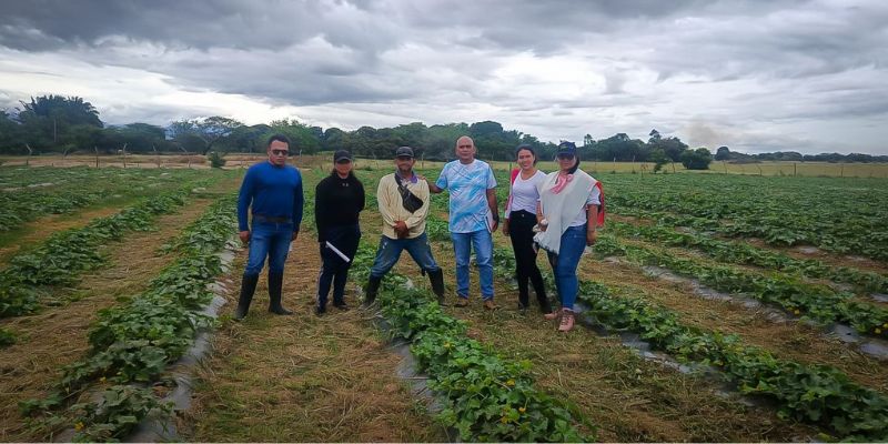 Beltrán inicia transición productiva: de la quema de carbón a cultivos de melón sostenibles

