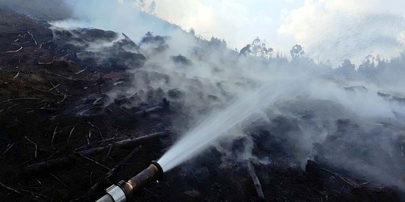 Cundinamarca llama a la prevención para mitigar riesgos de incendios




















