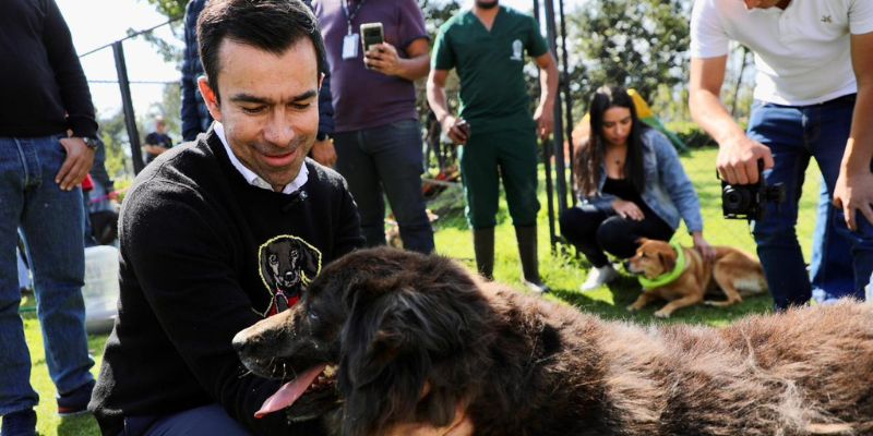 Corre, vive y disfruta: únete a la segunda Media Maratón de Cundinamarca con Canicross