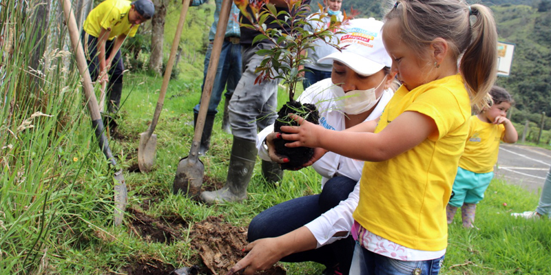 1.500 árboles para sembrar bienestar en Junín










