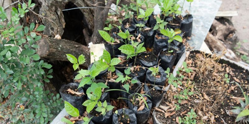 Predio de $123 millones, cedido a Agua de Dios para vivero que aportará a la recuperación del río Bogotá


