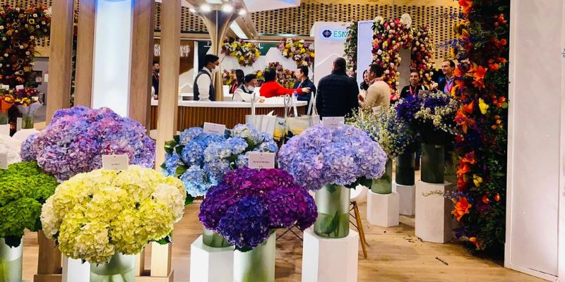 Cundinamarca florece en Proflora 2025: corazón de la floricultura colombiana