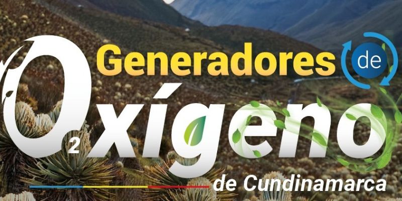 Abierta convocatoria para diplomado gratuito en restauración ecológica con la Universidad Libre


