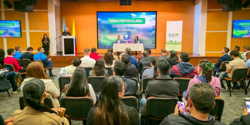 84 productores cundinamarqueses se certifican en Buenas Prácticas Agropecuarias para promover un campo más competitivo y sostenible
