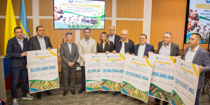 Cundinamarca invierte más de $923 millones para transformar sus cadenas productivas panelera, ganadera y agrícola