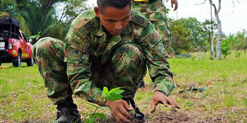 Siembra de 320 árboles en áreas afectadas por incendios forestales en la Base Militar de Tolemaida






