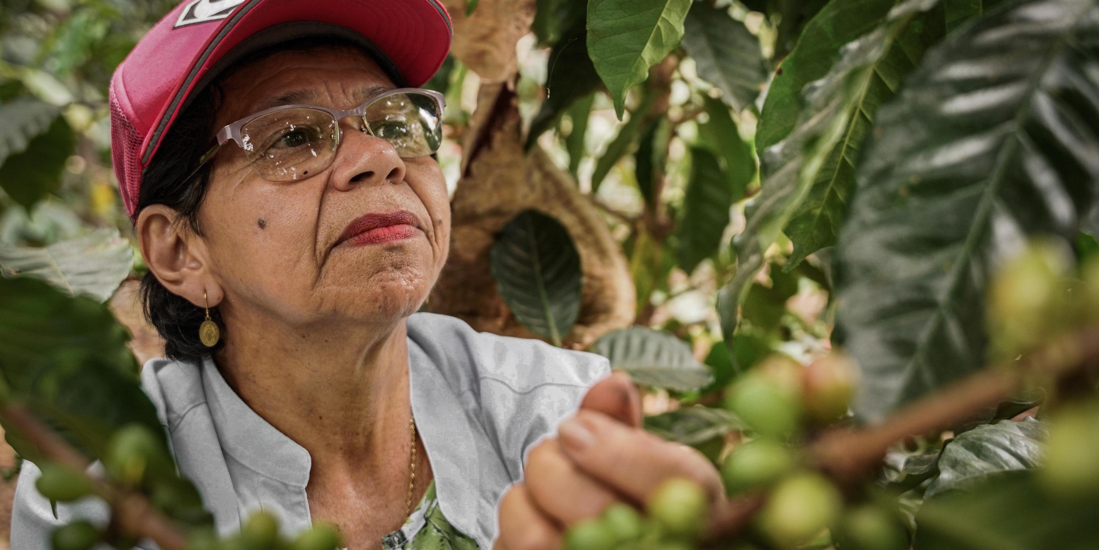 Pequeños productores agropecuarios aprovechen la oportunidad: incentivos LEC e ICR disponibles

