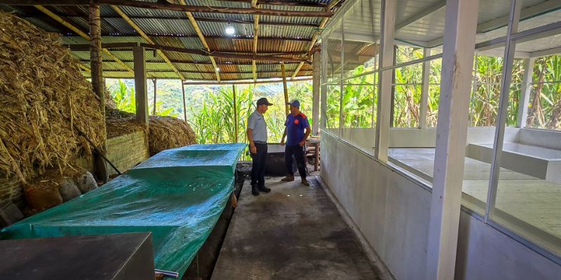 10 nuevos cuartos de moldeo elevan la calidad de la panela en Vergara