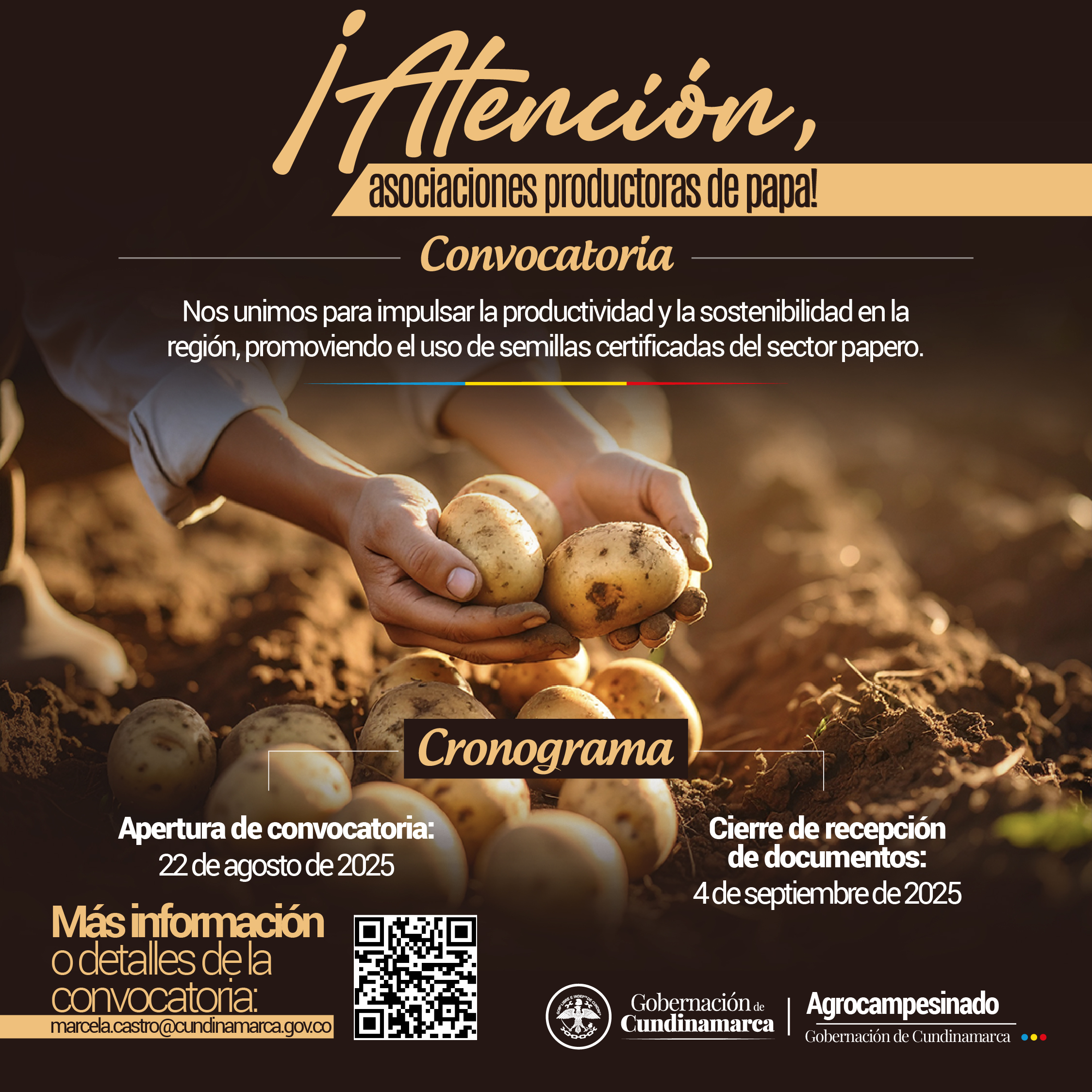 CONVOCATORIA PÚBLICA PARA MANIFESTAR EL INTERÉS EN PARTICIPAR EN EL PROGRAMA DIRIGIDO A ASOCIACIONES DE PRODUCTORES DE PAPA.