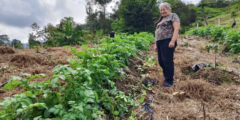 Tres asociaciones campesinas y 72 productores lideran la recuperación de la agricultura ancestral en Cundinamarca