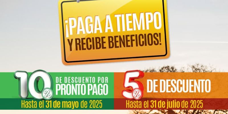 Más de 146.000 propietarios han pagado impuesto vehicular, aún hay tiempo para acceder al 10% de descuento


