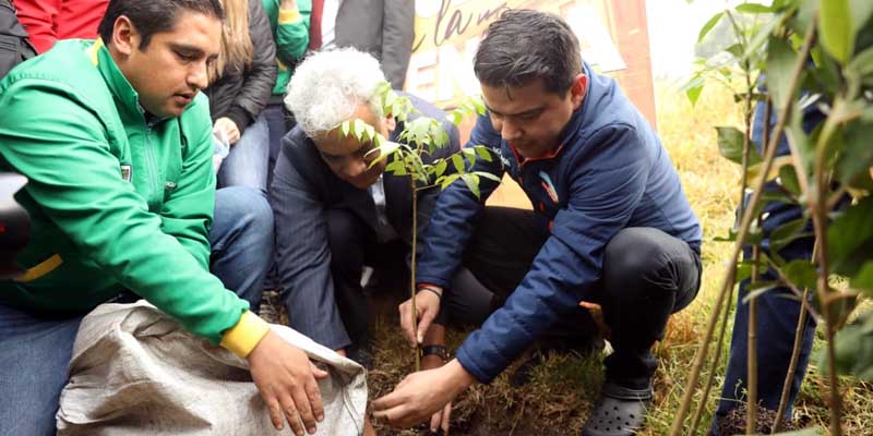 Nicolás García, comprometido con sembrar 2 millones de árboles en el cuatrienio