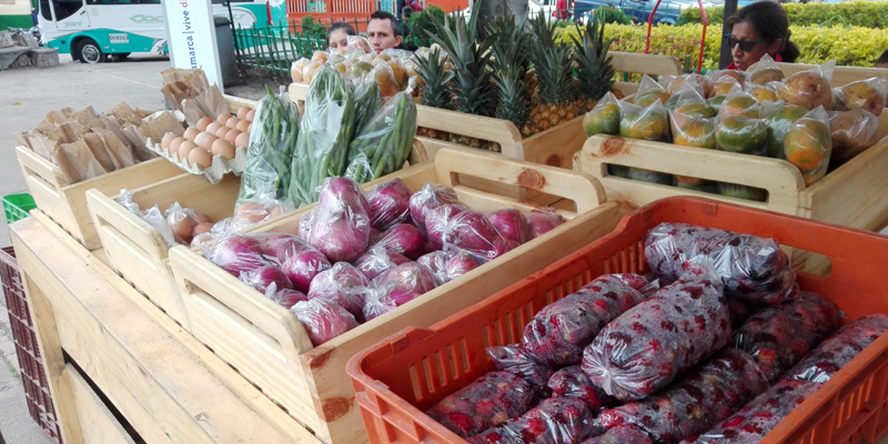 “Cambio verde”, le apuesta al intercambio de residuos sólidos por alimentos saludables