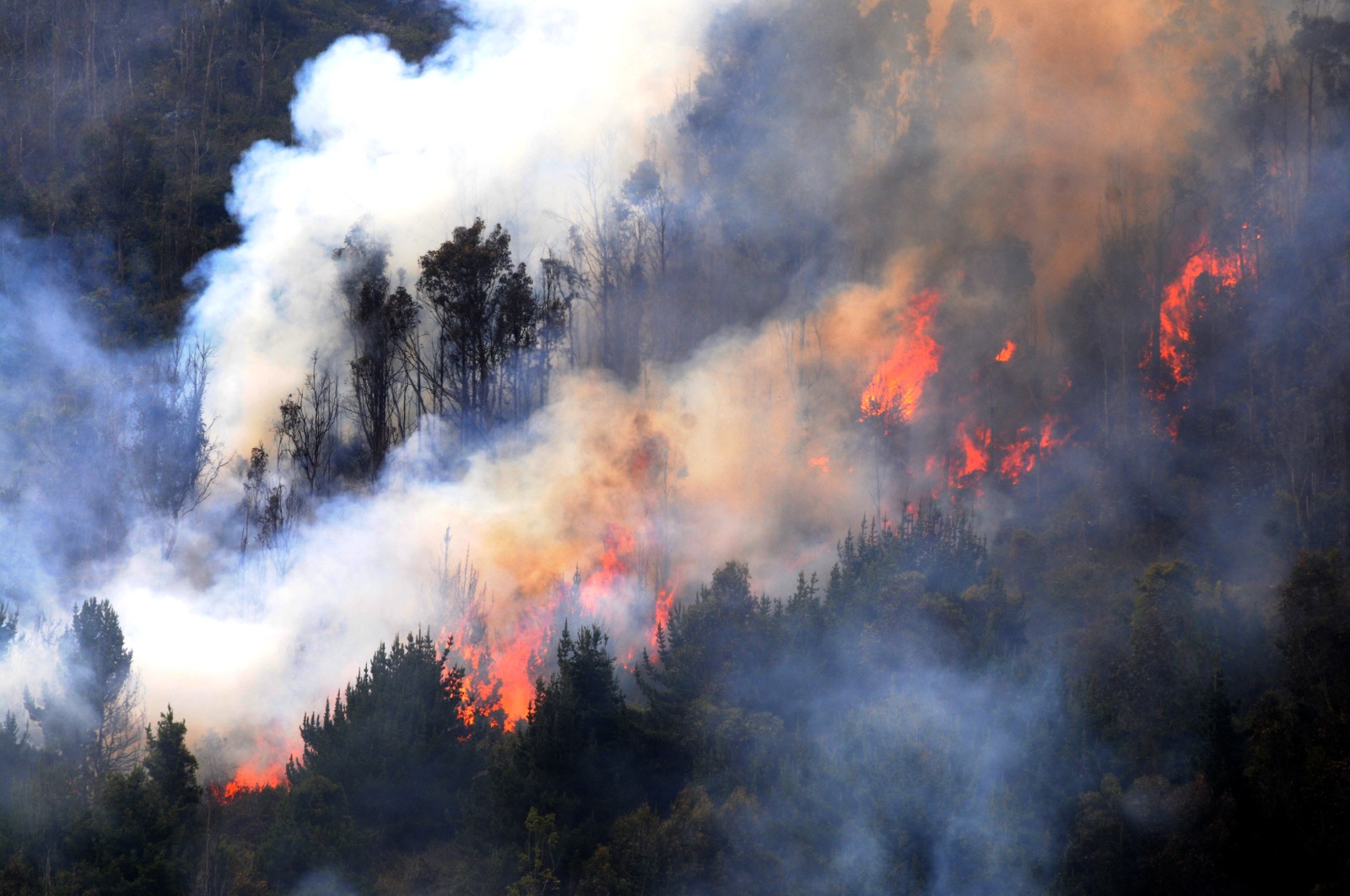 Gobierno cundinamarqués atiende emergencias causadas por incendios forestales

