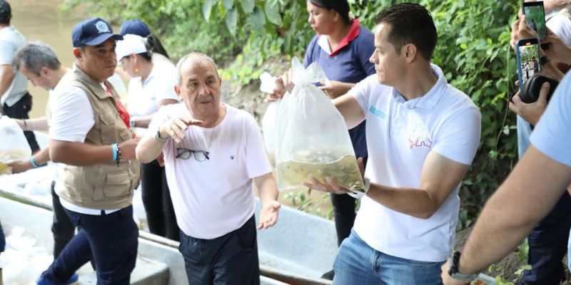 Más de 300.000 peces repueblan el río Magdalena