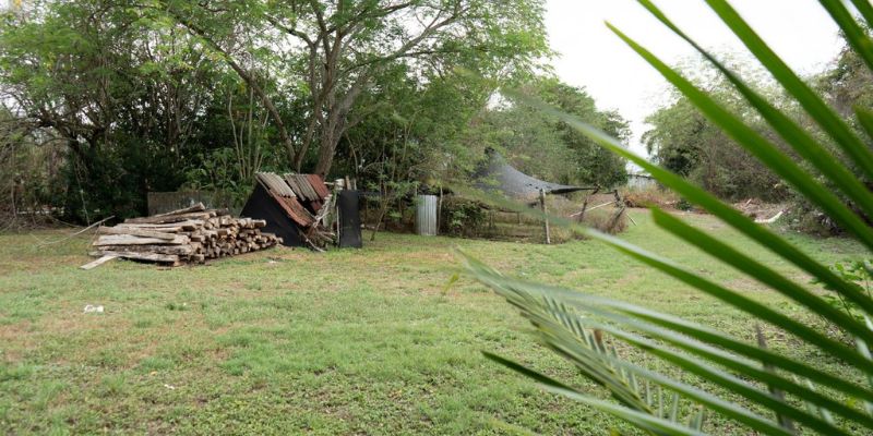 Predio de $123 millones, cedido a Agua de Dios para vivero que aportará a la recuperación del río Bogotá


