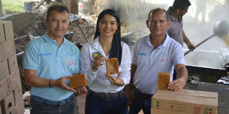 $549 millones impulsan la productividad panelera en La Peña