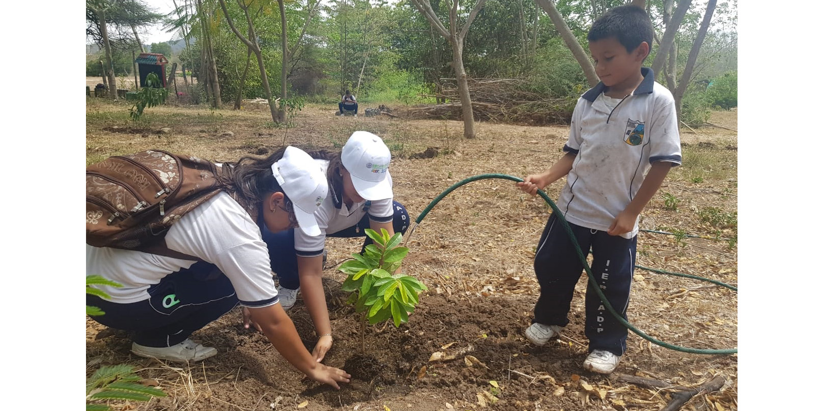 En Girardot, estudiantes siembran árboles frutales frente al cambio climático











