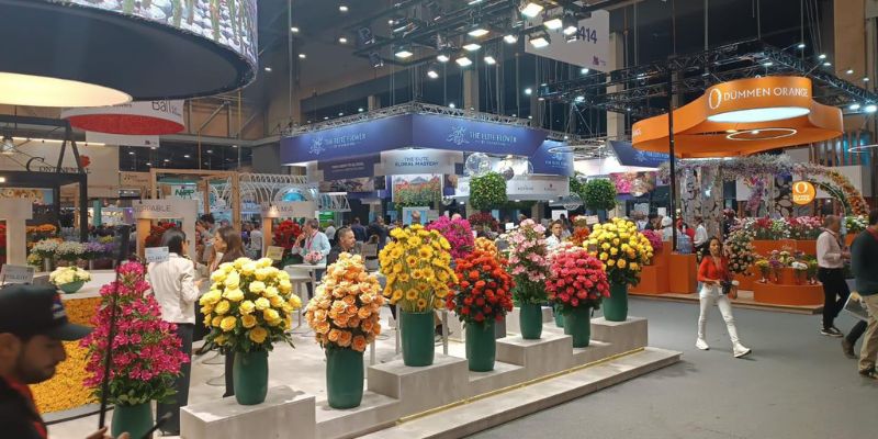 Cundinamarca florece en Proflora 2025: corazón de la floricultura colombiana