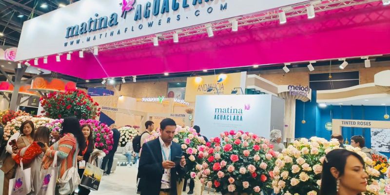 Cundinamarca florece en Proflora 2025: corazón de la floricultura colombiana