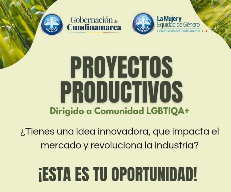 PROYECTOS PRODUCTIVOS POBLACIÓN LGBTIQ+