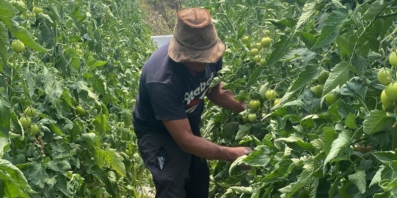 Cundinamarca acoge proyectos de transferencia tecnológica para el fortalecimiento del agro