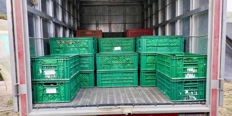 Gobernador Jorge Rey despliega 40 camiones para transportar cosechas de municipios afectados por el cierre de la vía al Llano