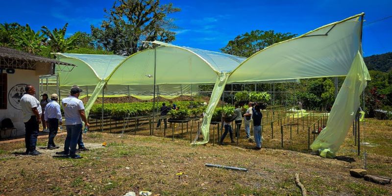 Yacopí inaugura centro de propagación para producir 50 mil plántulas de cacao de alta calidad

