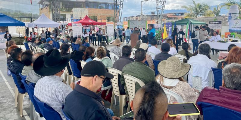 Sumapaz impulsa la asociatividad y la competitividad del aguacate Hass