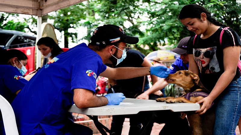 Avanza en Cundinamarca Gira de bienestar animal