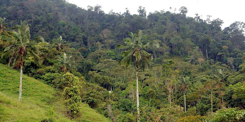 Acciones concretas para enfrentar el cambio climático en Cundinamarca
