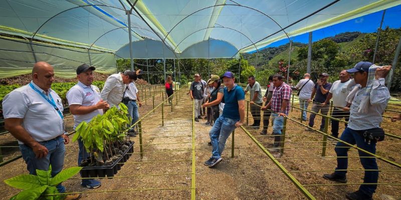 Yacopí inaugura centro de propagación para producir 50 mil plántulas de cacao de alta calidad

