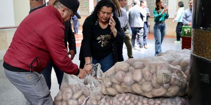 Gobernación lanza estrategia “Cundipapa” para enfrentar crisis del sector papero en Cundinamarca
