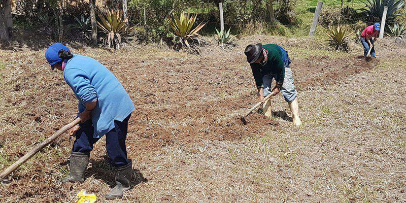Pequeños productores rurales del Sumapaz podrán conformar agroredes campesinas




