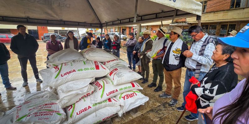 Caficultores de Machetá, Manta, Junín y Gachetá reciben fertilizantes para renovar sus cultivos y aumentar la productividad