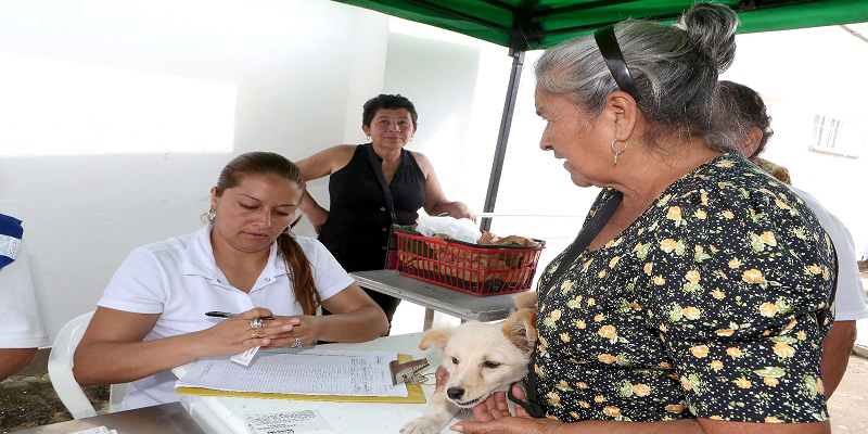 Autoridades de salud recorren provincias del Alto Magdalena y del Tequendama para prevenir la rabia

