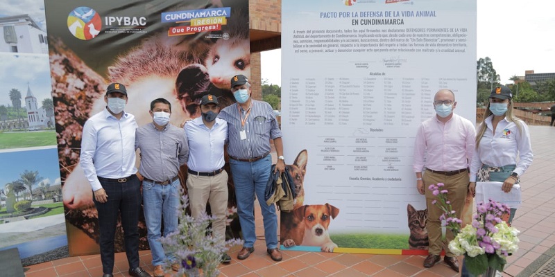 Cundinamarca cuenta unidad quirúrgica móvil para atención integral de animales 



