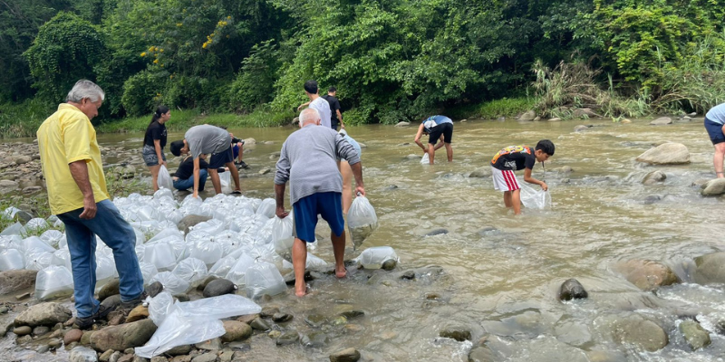 Más de 186.000 alevinos repueblan el río Magdalena y fortalecen la pesca artesanal en Cundinamarca
