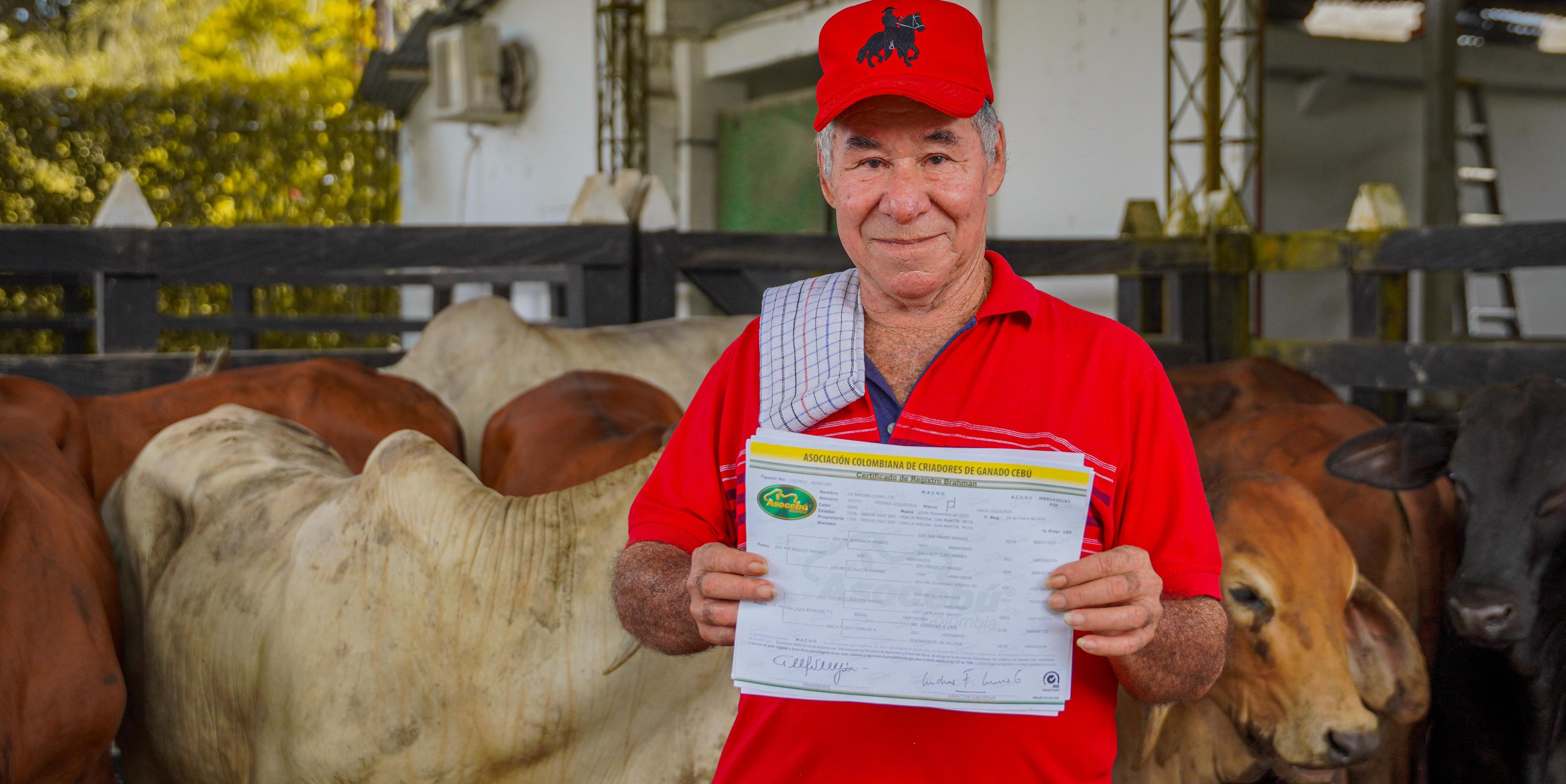 Gobernación de Cundinamarca impulsa la producción ganadera con entrega de ejemplares bovinos
