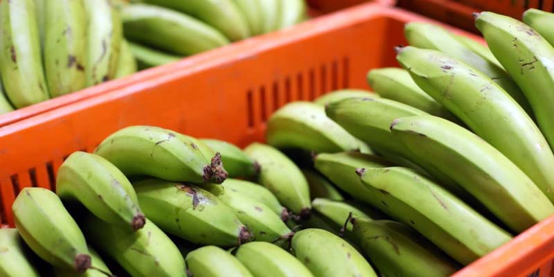 Apoyo para transportes de productos perecederos agrícolas y pecuarios para la comercialización en Cundinamarca

