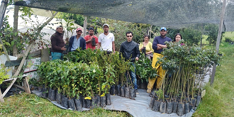 Se entregan 25.581 árboles para reforestar cuenca del río Bogotá












