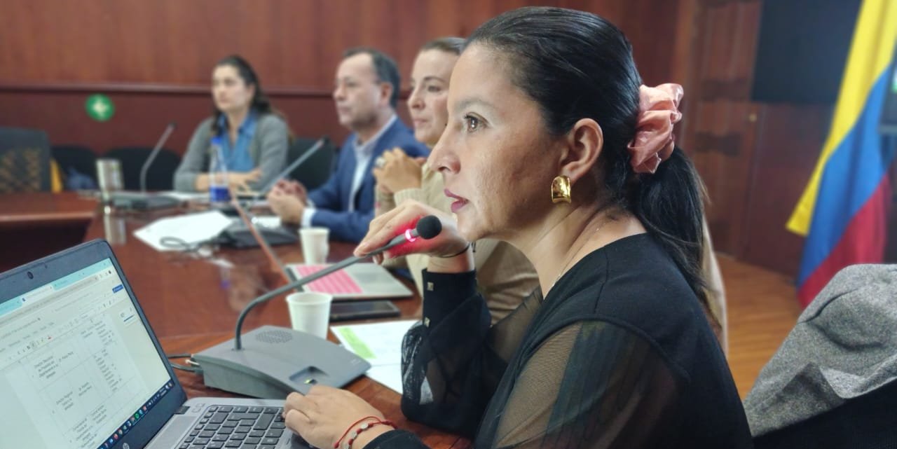 Aprobado Plan de Acción del  Comité de Justicia Penal Restaurativa en Cundinamarca 2024 y 2025