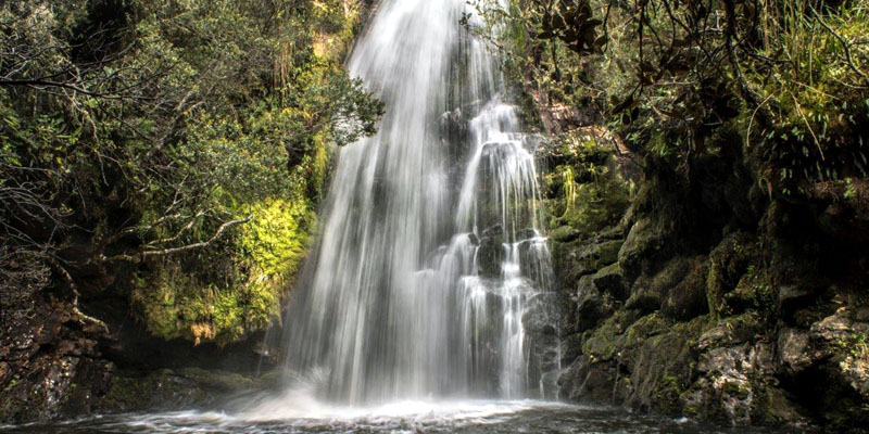 “Vive el río Bogotá”, un encuentro por la recuperación hídrica y ambiental de Cundinamarca


























