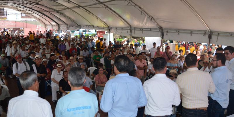 Con 162 lotes en subasta internacional, Cundinamarca potencia la calidad y exportación de su café

