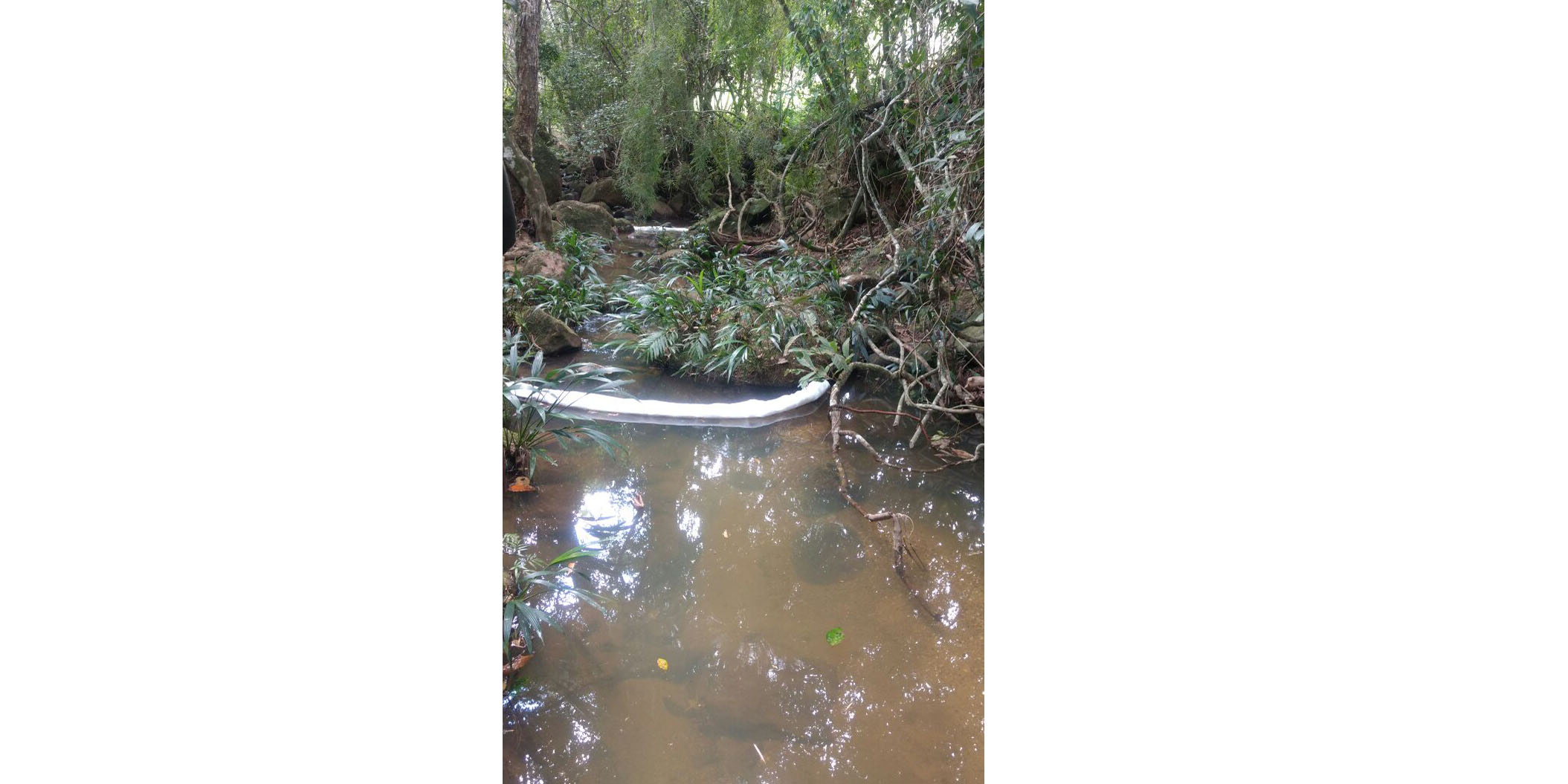 Resultados del Laboratorio de Salud Pública de Cundinamarca descarta contaminación por ácido nítrico en afluente en Guaduas



