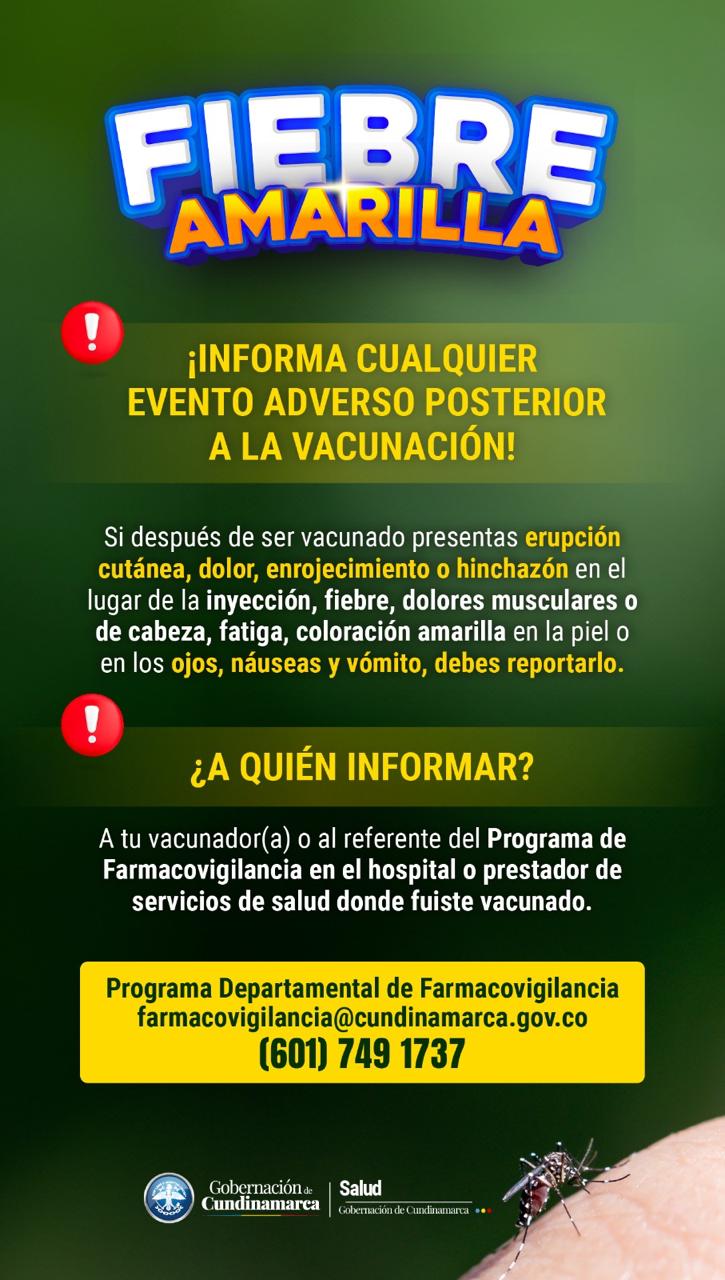 Imagin: imagenfiebreamarilla